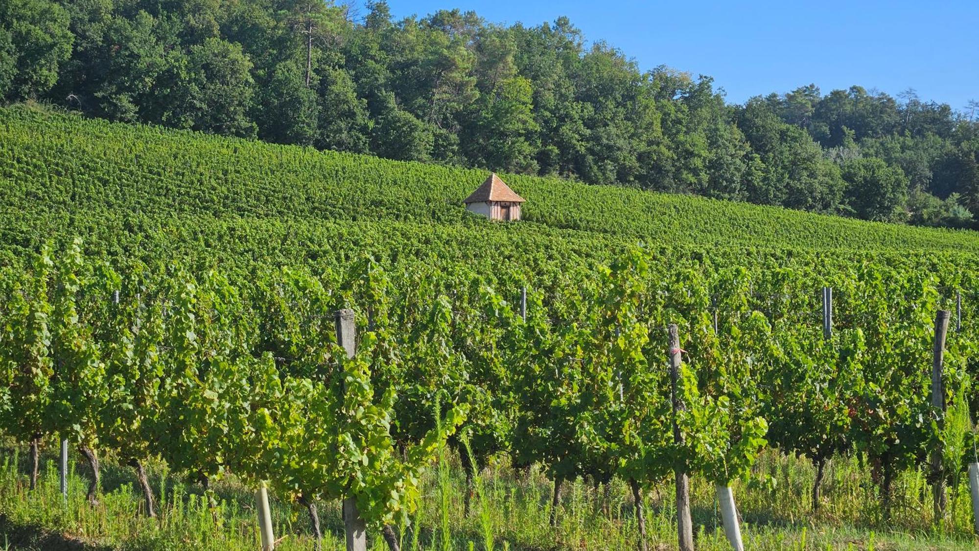 Chambres Et Gites Les Deux Chenes Pres De Bergerac Le Fleix Ngoại thất bức ảnh