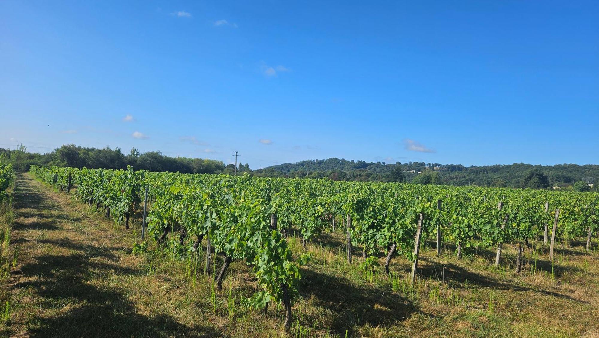 Chambres Et Gites Les Deux Chenes Pres De Bergerac Le Fleix Ngoại thất bức ảnh